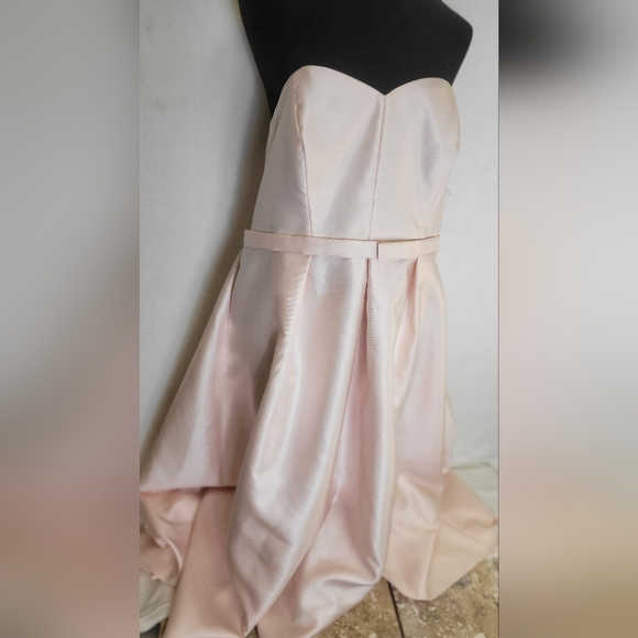 Alfred Sung Full Length,  Dress..Pearl Pink..Size 18W - Picture 1 of 8